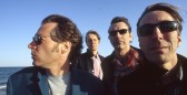 Fleshtones (the)