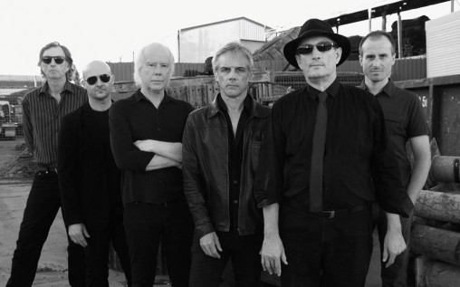 radio birdman3